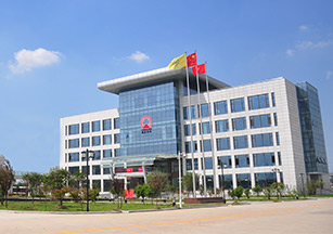 江苏w66利来国际化学有限公司 土壤污染隐患排查报告及自行监测方案